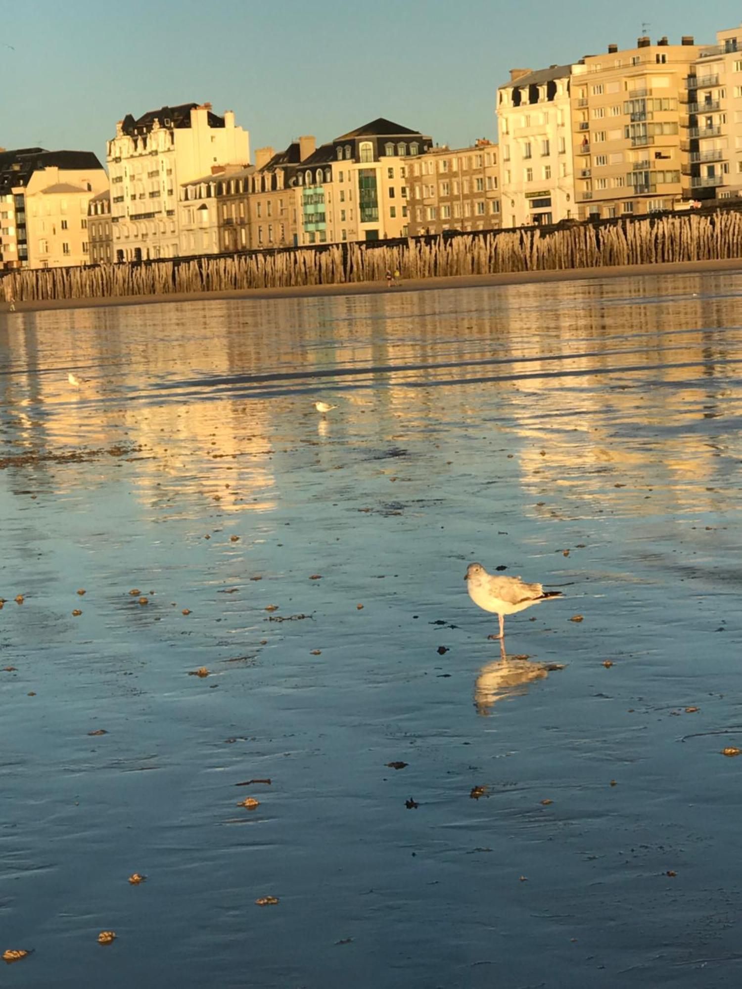 Grand Appartement Bretagne Saint Malo Intra Muros Luaran gambar